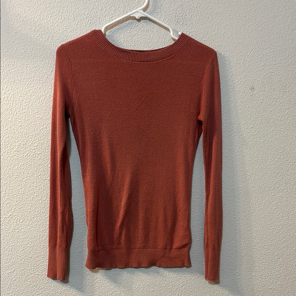 Express Mauve Long Sleeve Sweater
